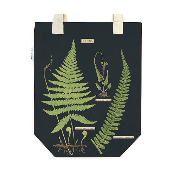 Cavallini Tote Bag Ferns — front view