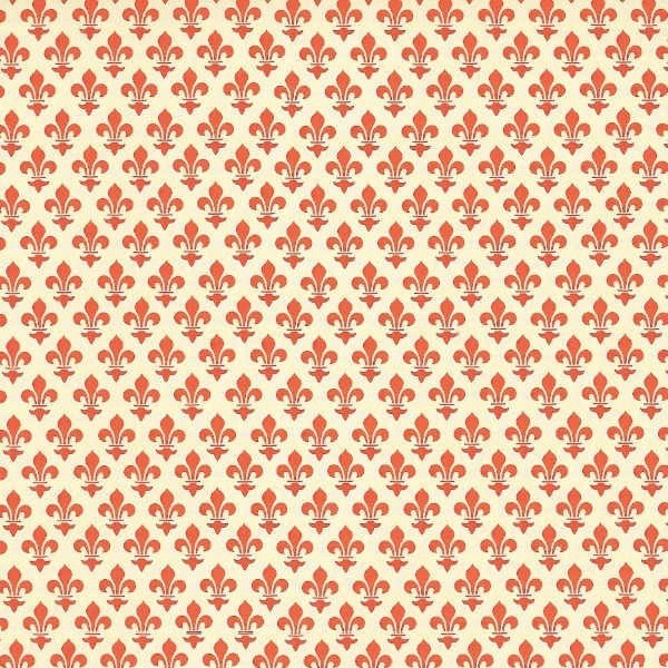 Rossi Cartavarese Decorative Paper — with packaging